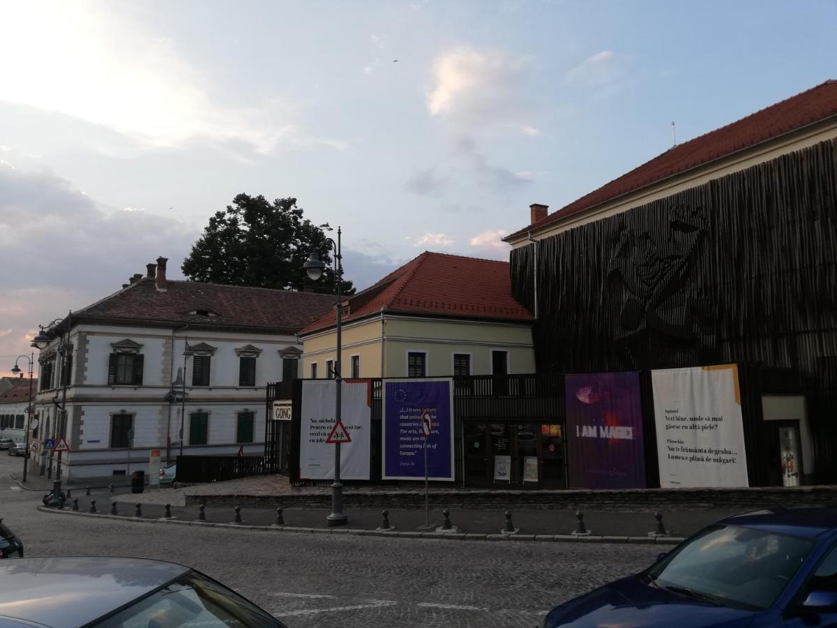 Zur Linde Apartment Sibiu Exterior photo
